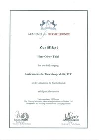 Zertifikat ITC
